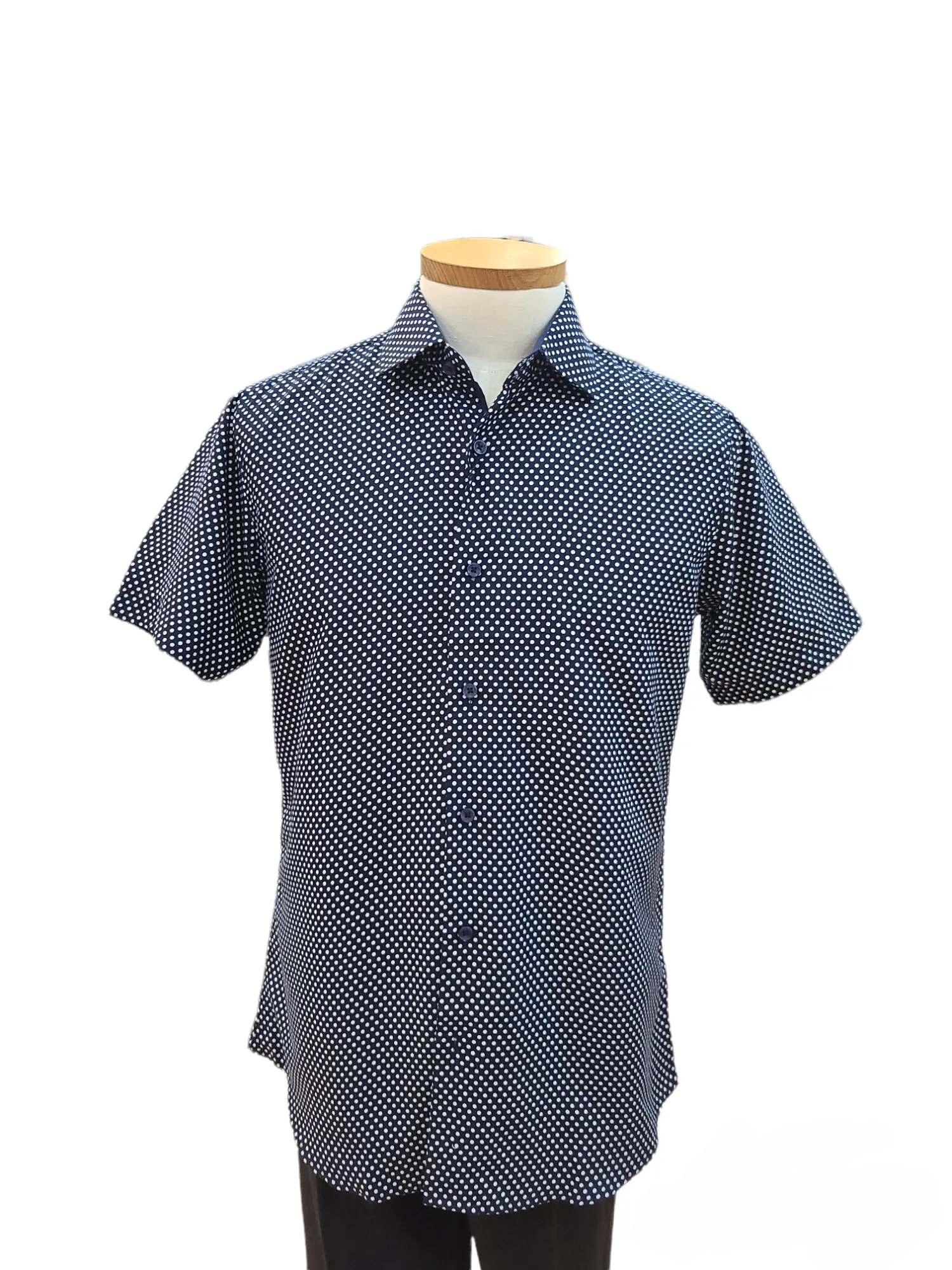 Button Down Wrinkle Free Shirt