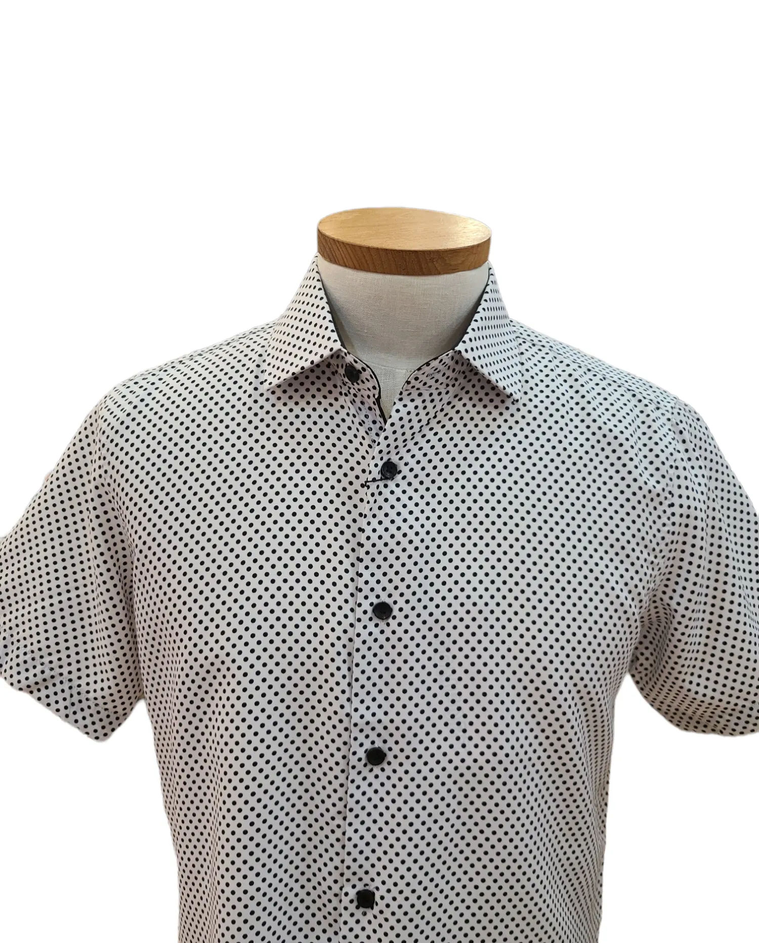 Button Down Wrinkle Free Shirt