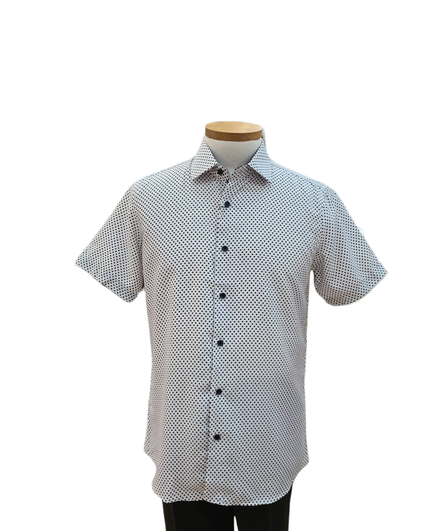 Button Down Wrinkle Free Shirt