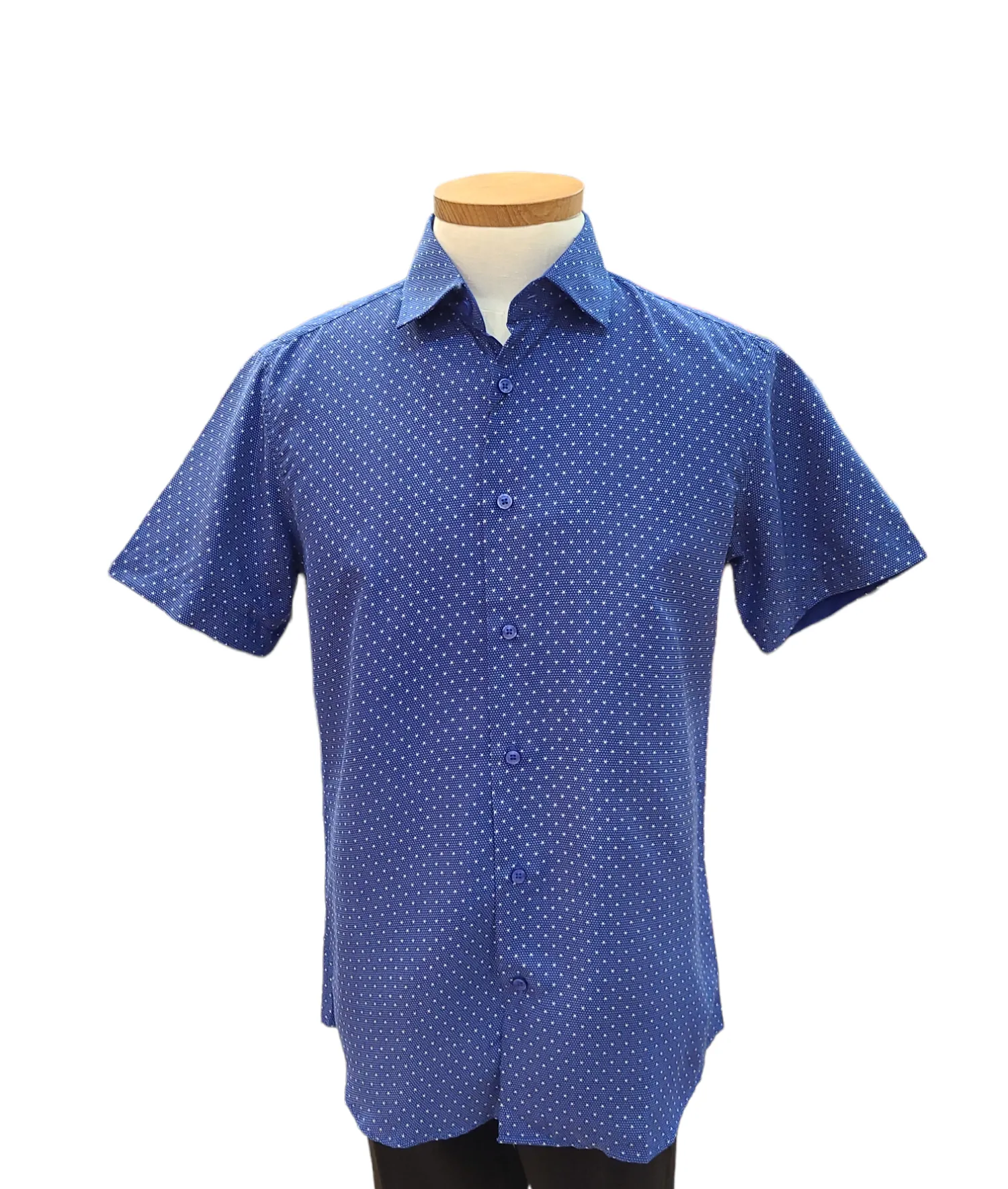 Button Down Wrinkle Free Shirt